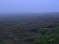 Jour 10 Photo 01 * On est  la pointe du Raz et l on n'y voit pas grand chose  cause du brouillard/ de la brume/???... . * 2048 x 1536 * (667KB)